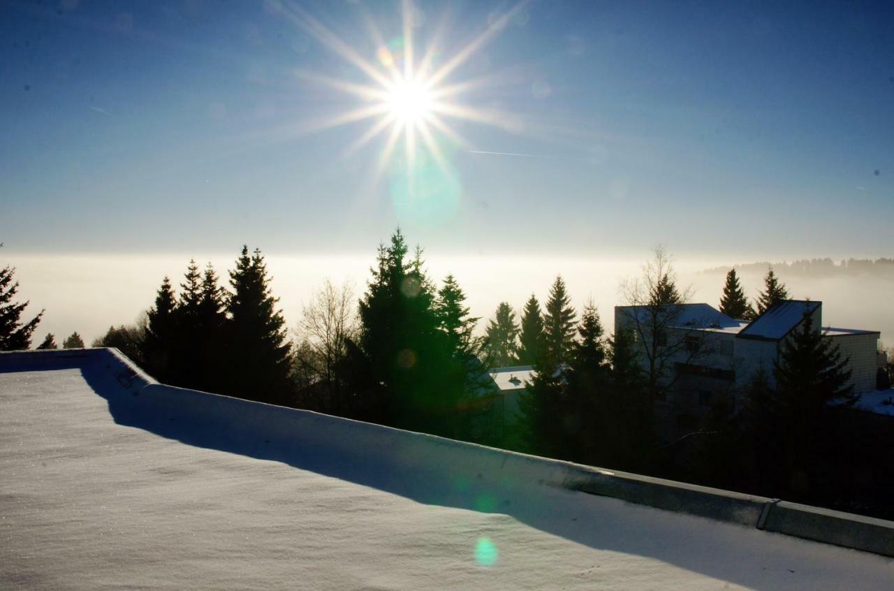Apartamento Alpenblick Sankt Englmar Exterior foto